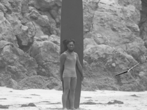 Duke surfing
