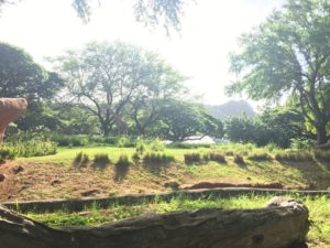 Honolulu Zoo