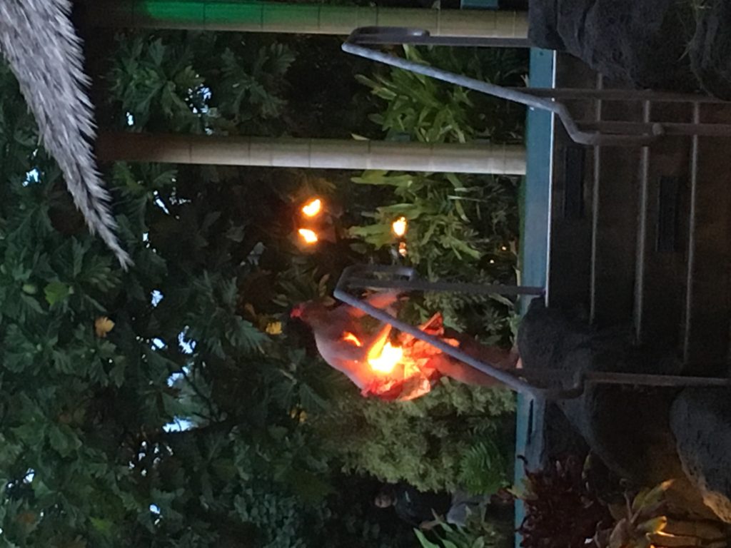 Polynesian Cultural Center Laie