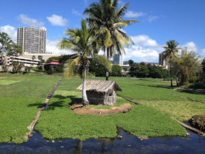 Pearl City Aiea Waimalu