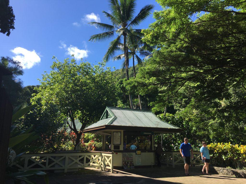 Waimea Valley Waterfall Hike Oahu North Shore