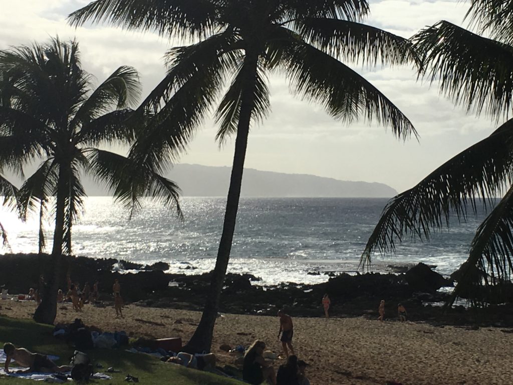 Sharks Cove Pupukea Oahu Hawaii
