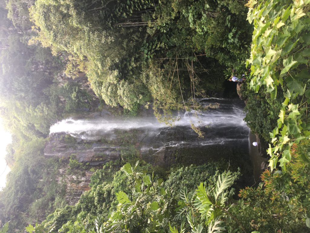 Road to Hana Maui