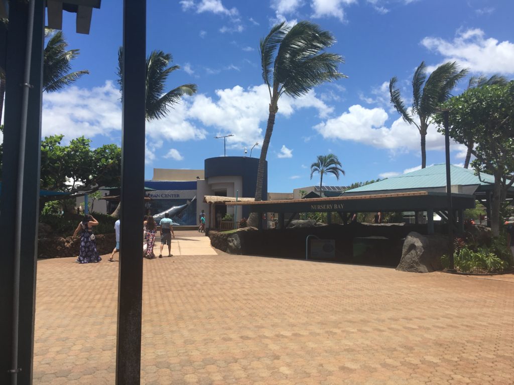 Maui Ocean Center