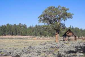 Holcomb Valley Big Bear Lake