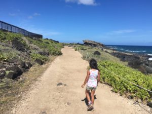 Kaena Point