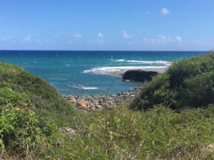 Kaena Point