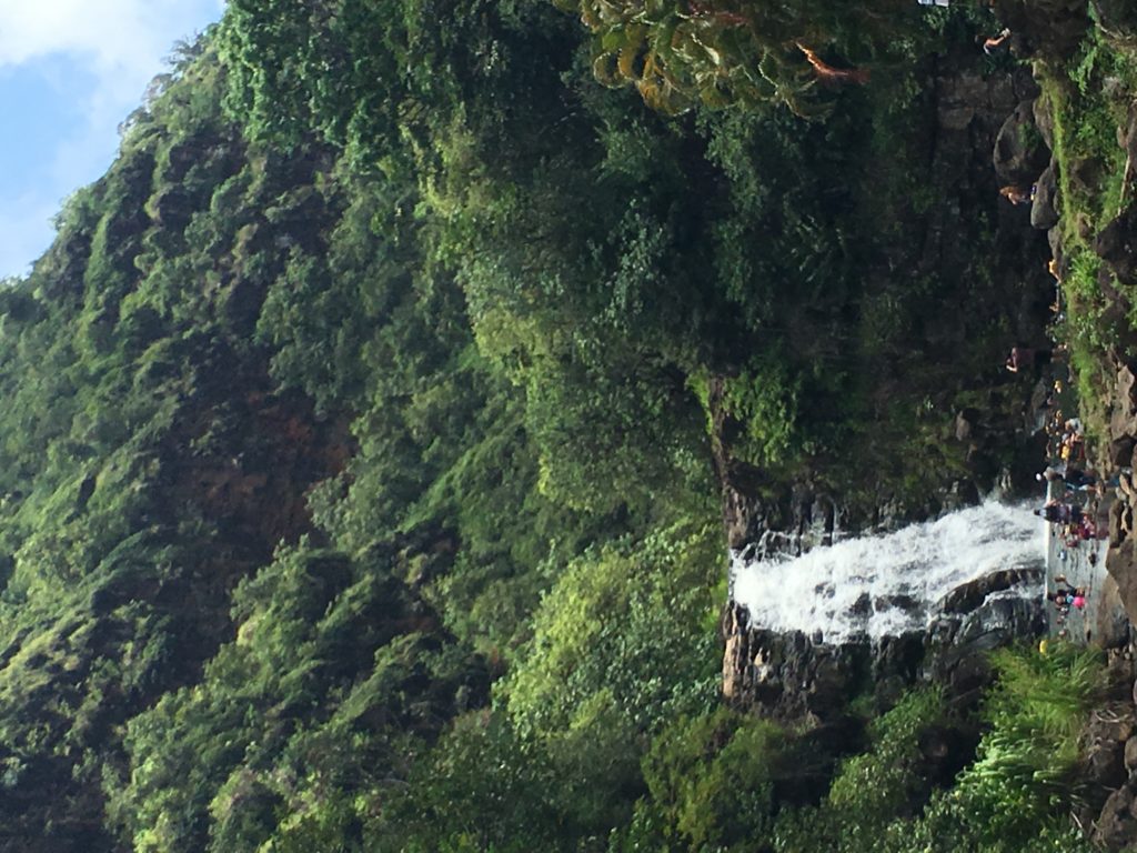 Hawaii Rainforest Hike
