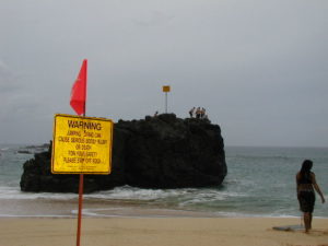 Waimea Jumping Stone