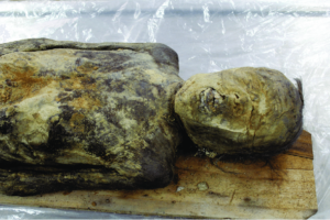 Andong Mummy