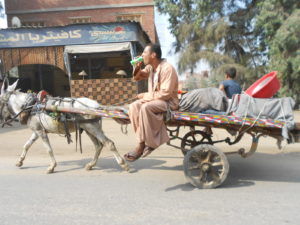 Cairo Egypt