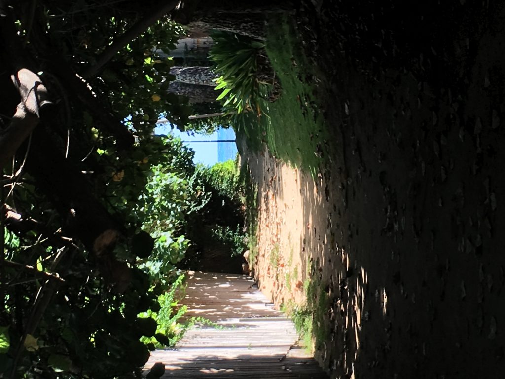 Kahala