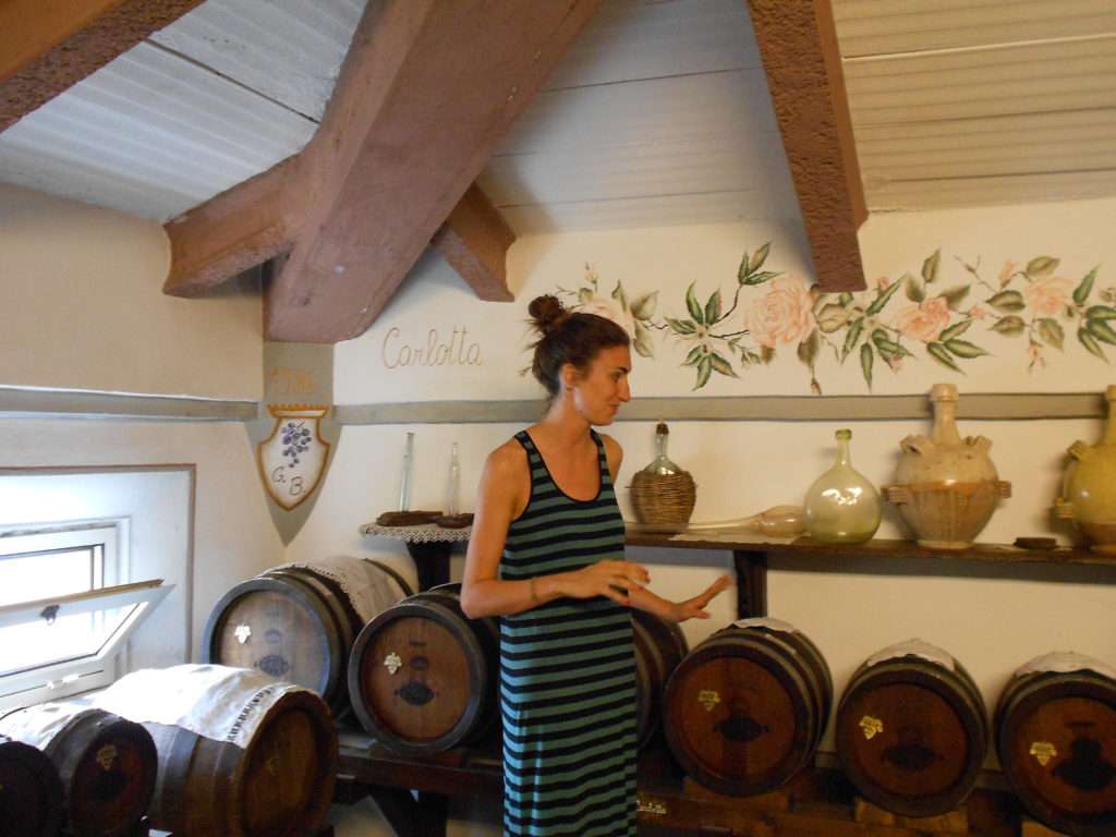 Modena Balsamic Vinegar