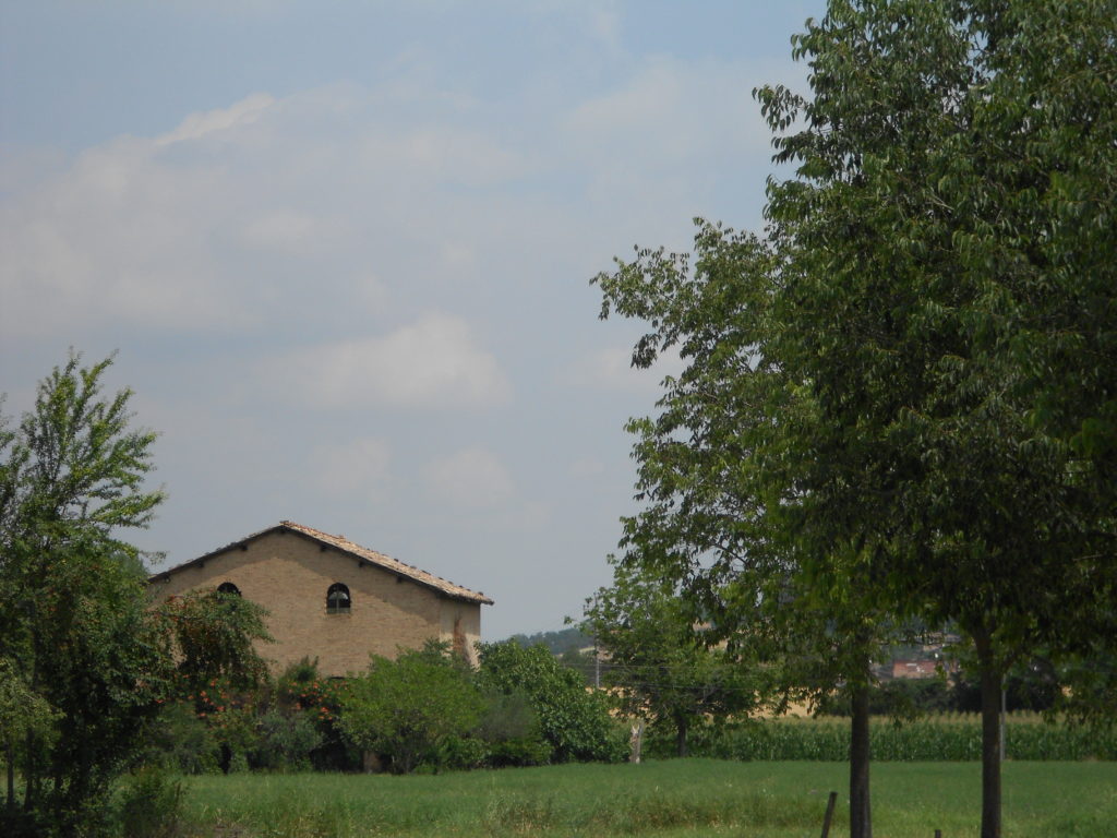 Lambresco Italian Farm Vineyard