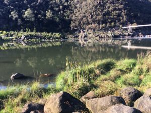 Tasmania Australia